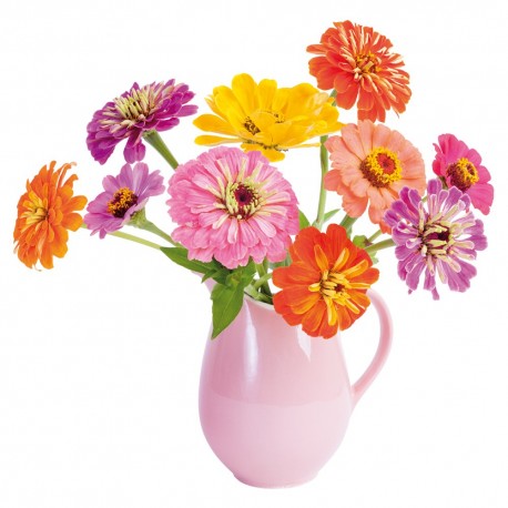 flat-flowers-zinnia